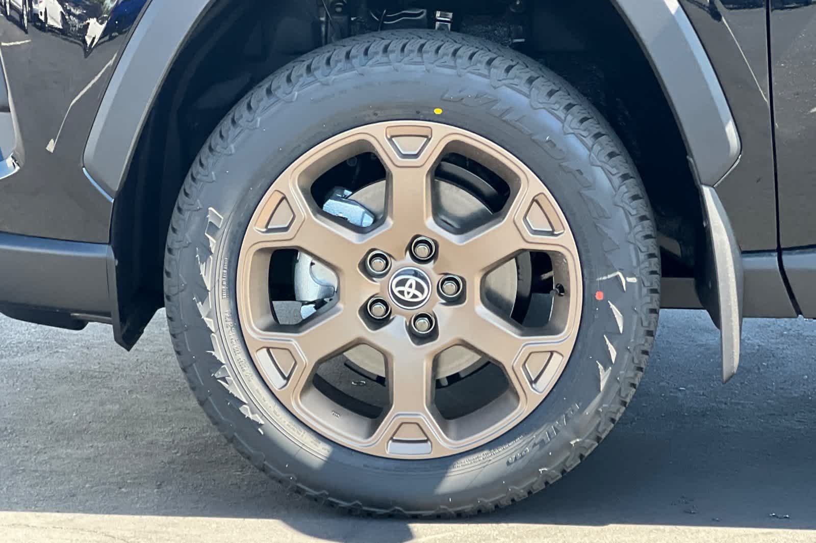 2025 Toyota RAV4 Woodland Edition 30