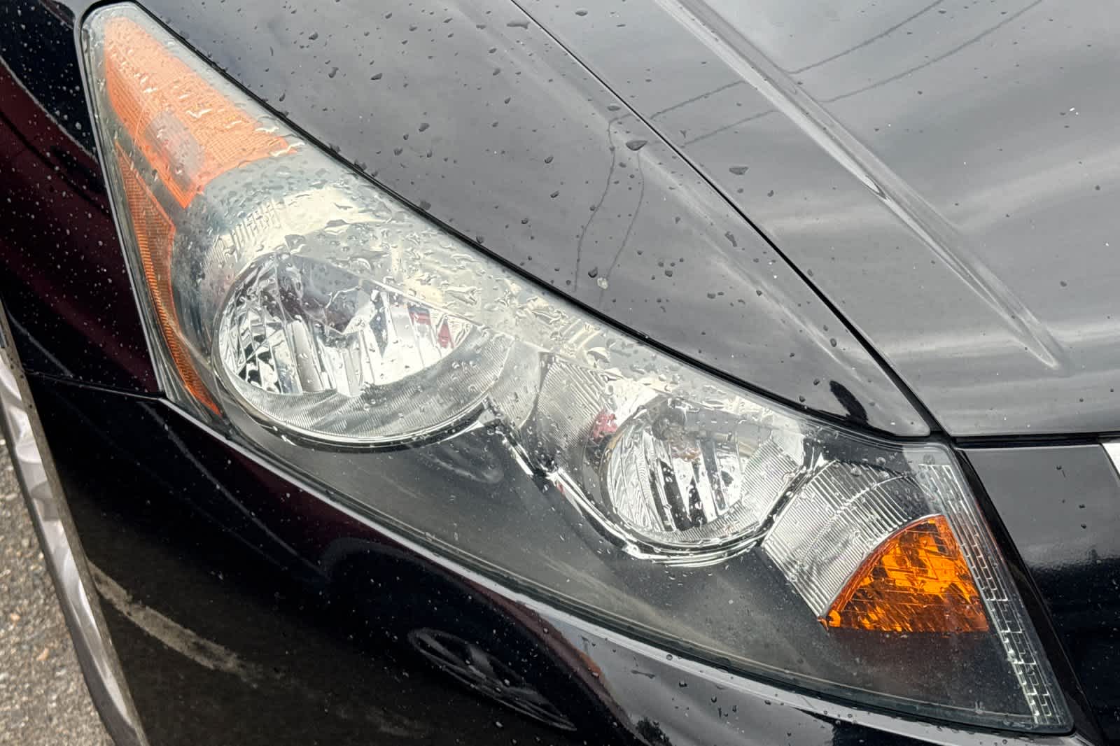 Thumbnail: 2010 Honda Accord - 8