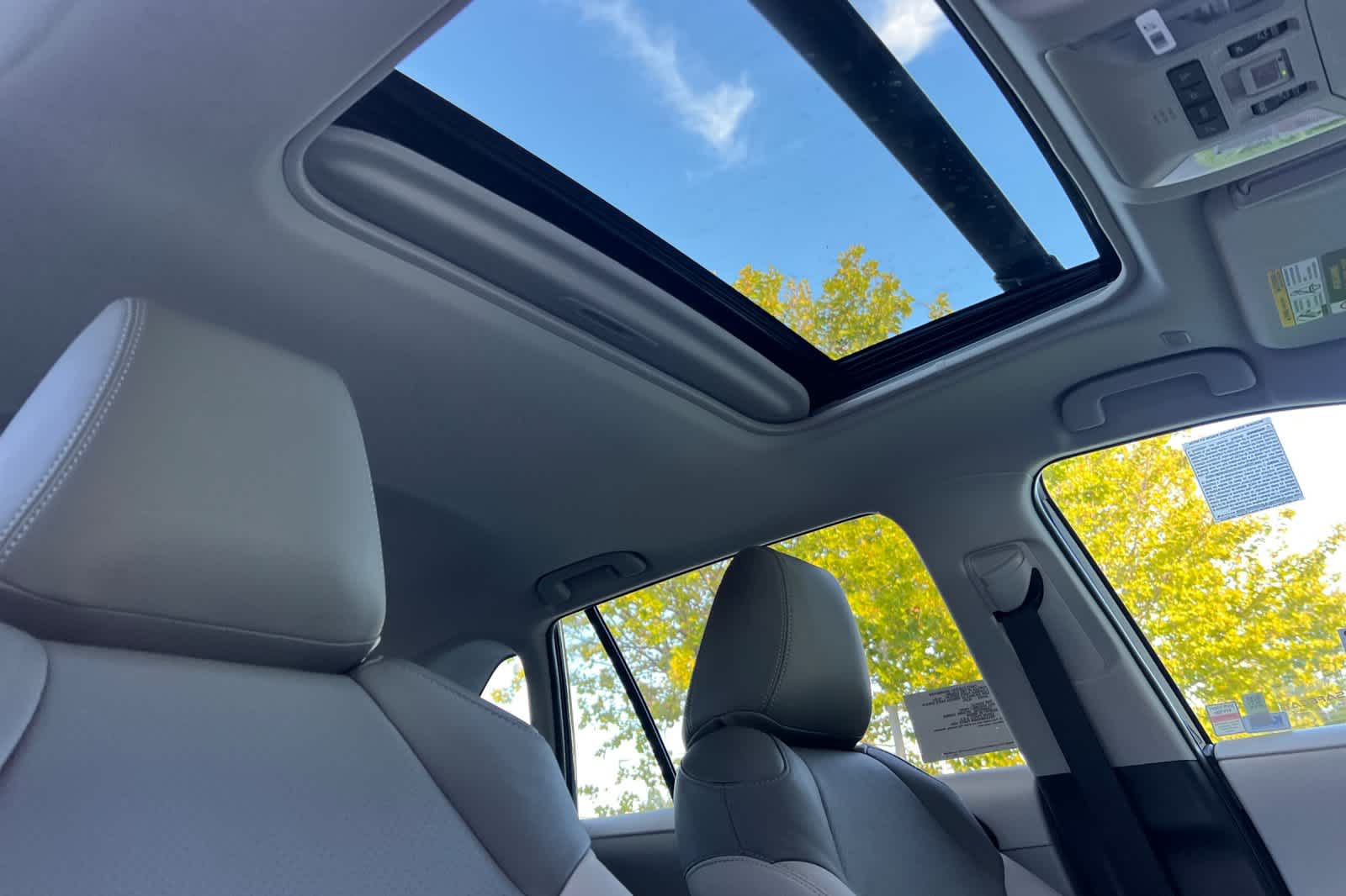 Thumbnail: 2025 Toyota RAV4 - 17