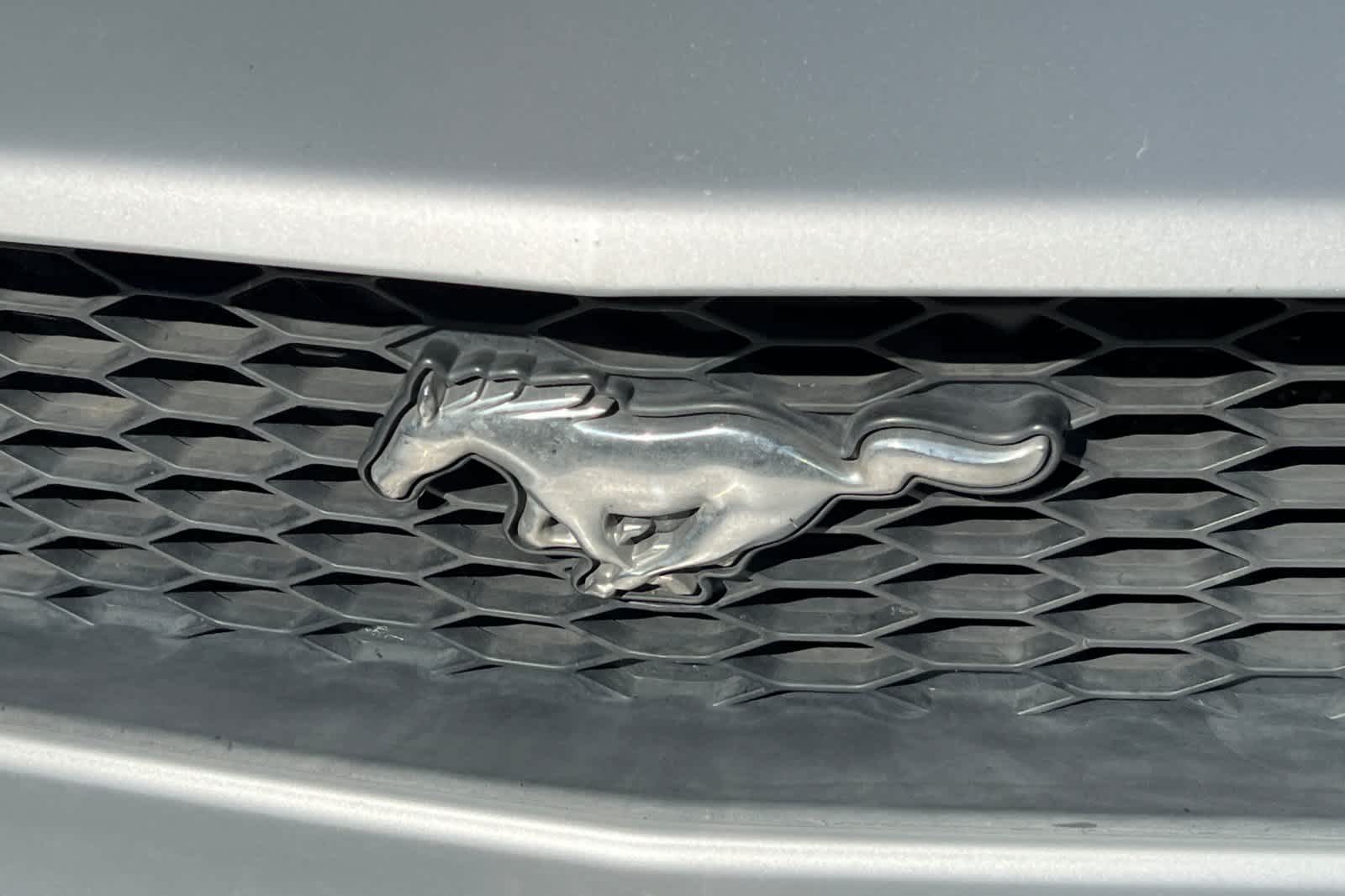 Thumbnail: 2007 Ford Mustang - 13