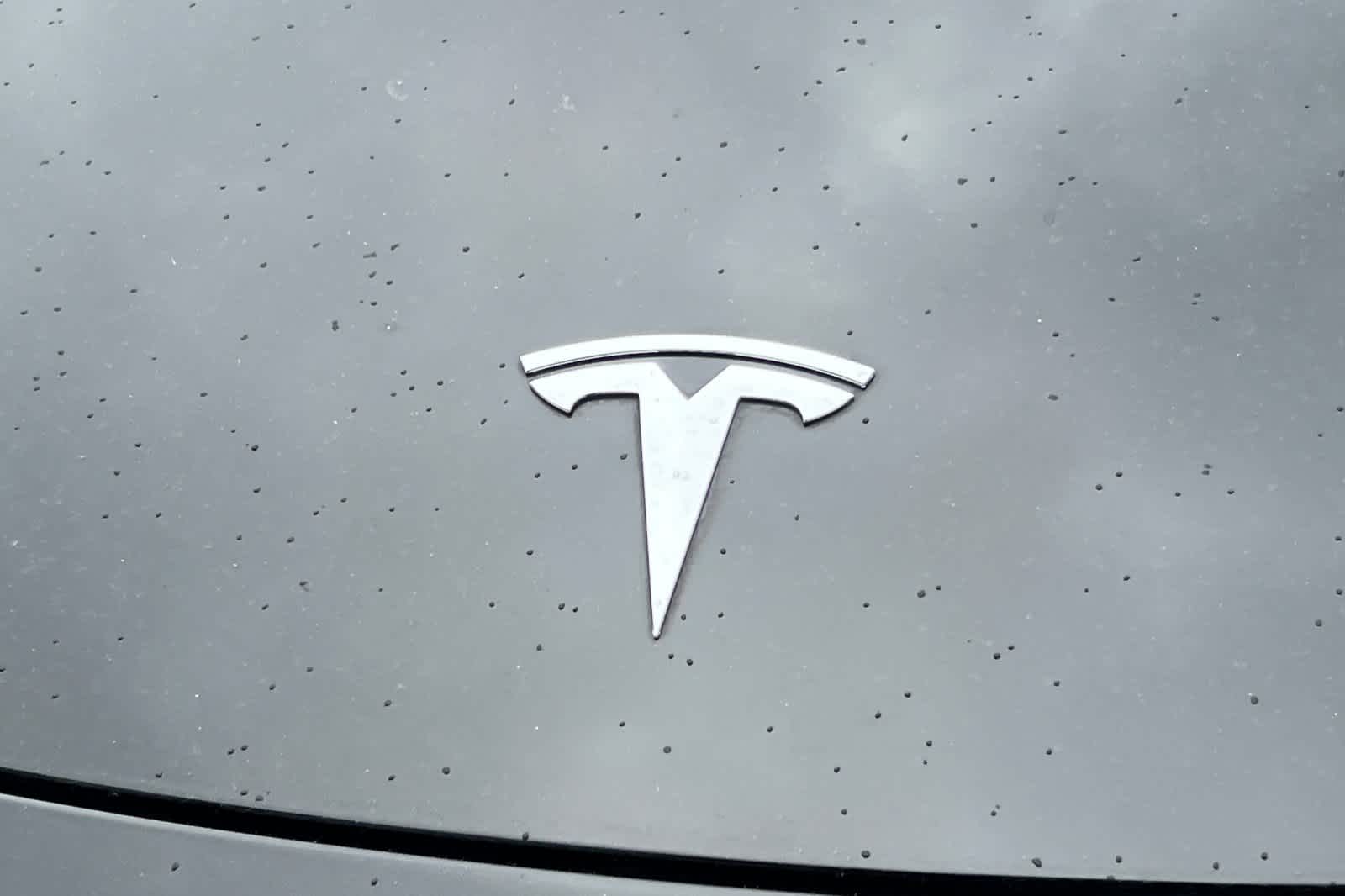 Thumbnail: 2021 Tesla Model Y - 13