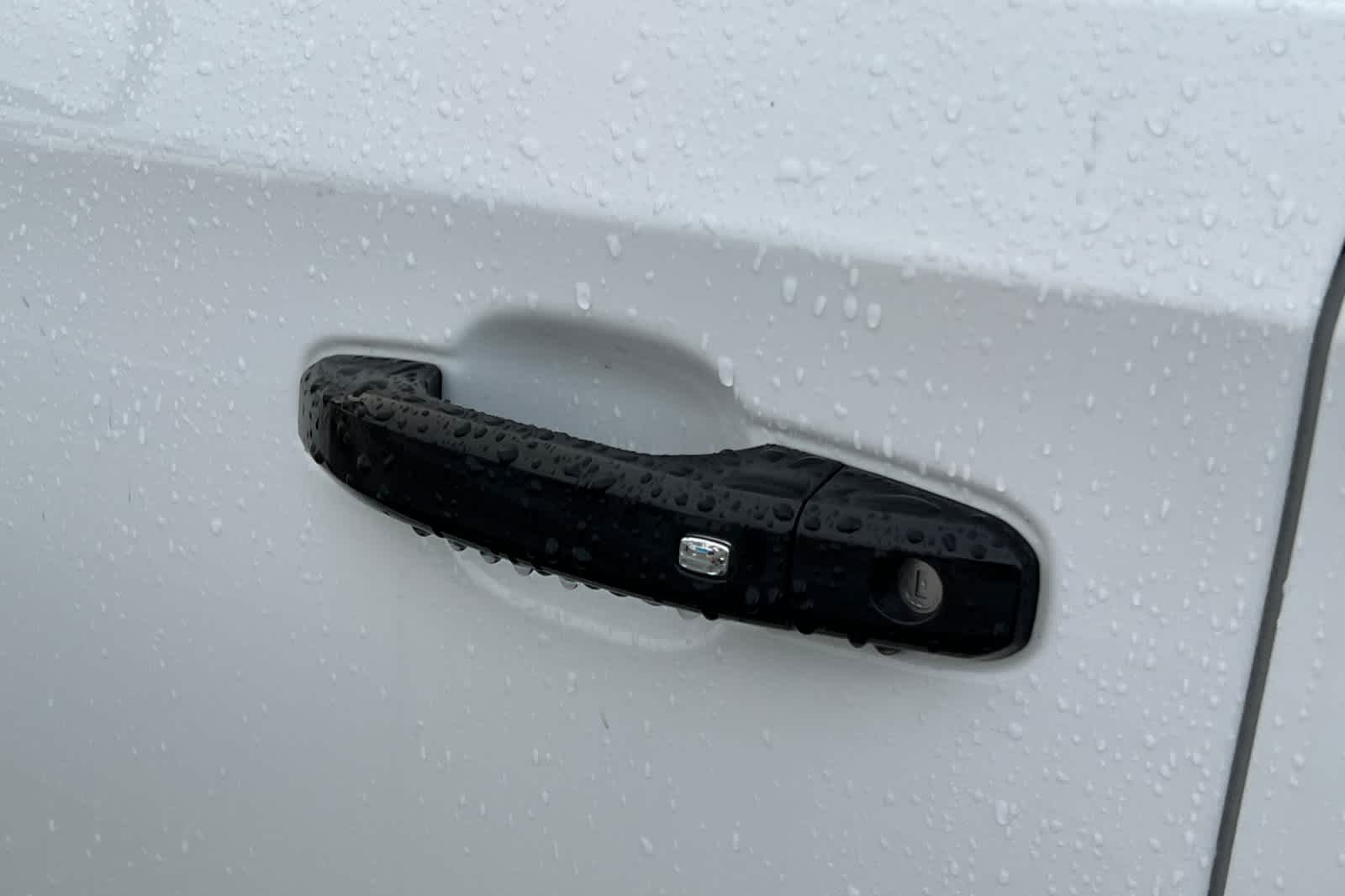 Thumbnail: 2019 Chevrolet Silverado 1500 - 19