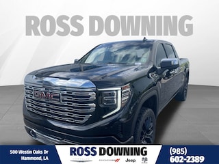 2022 GMC Sierra 1500 Denali Truck Crew Cab