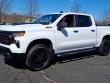 2025 Chevrolet Silverado 1500 Custom Trail Boss Truck Crew Cab
