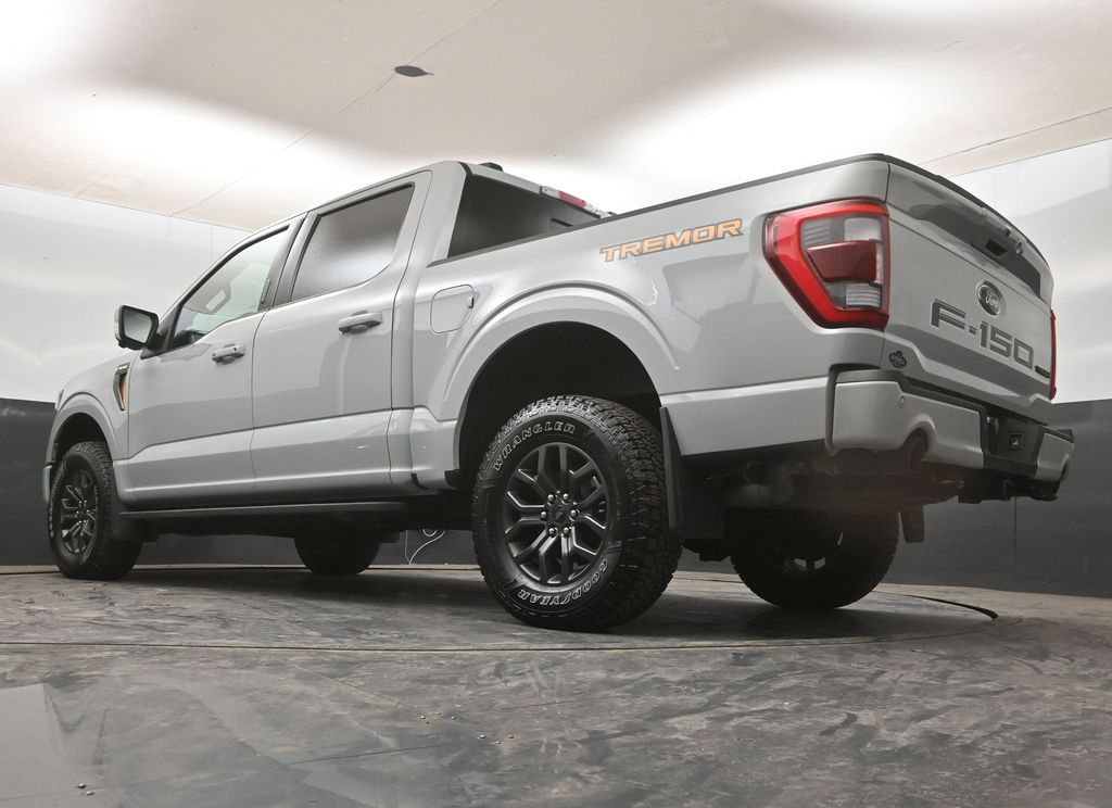 2023 Ford F-150 Tremor - Photo 19