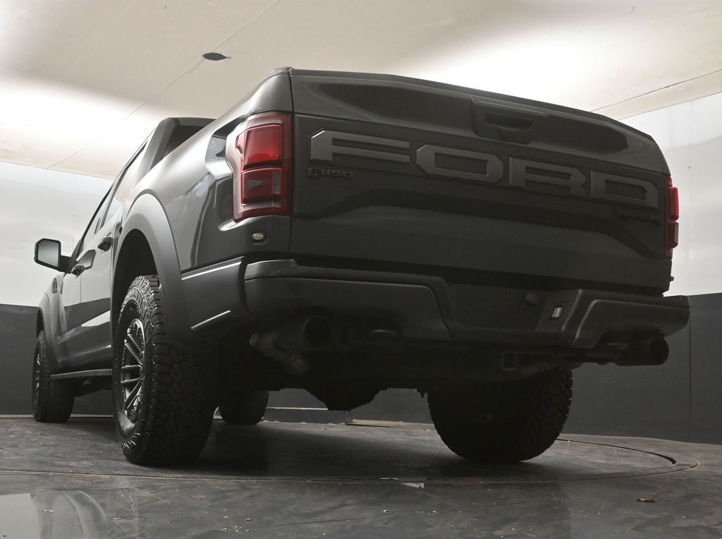 2020 Ford F-150 Raptor - Photo 20