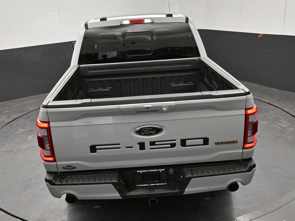 2023 Ford F-150 Tremor - Photo 28