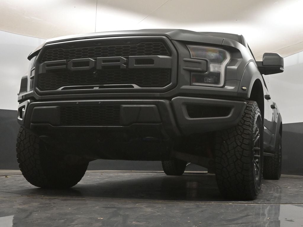 2020 Ford F-150 Raptor - Photo 16
