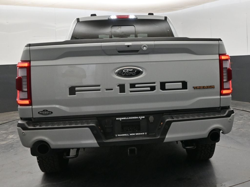 2023 Ford F-150 Tremor - Photo 7