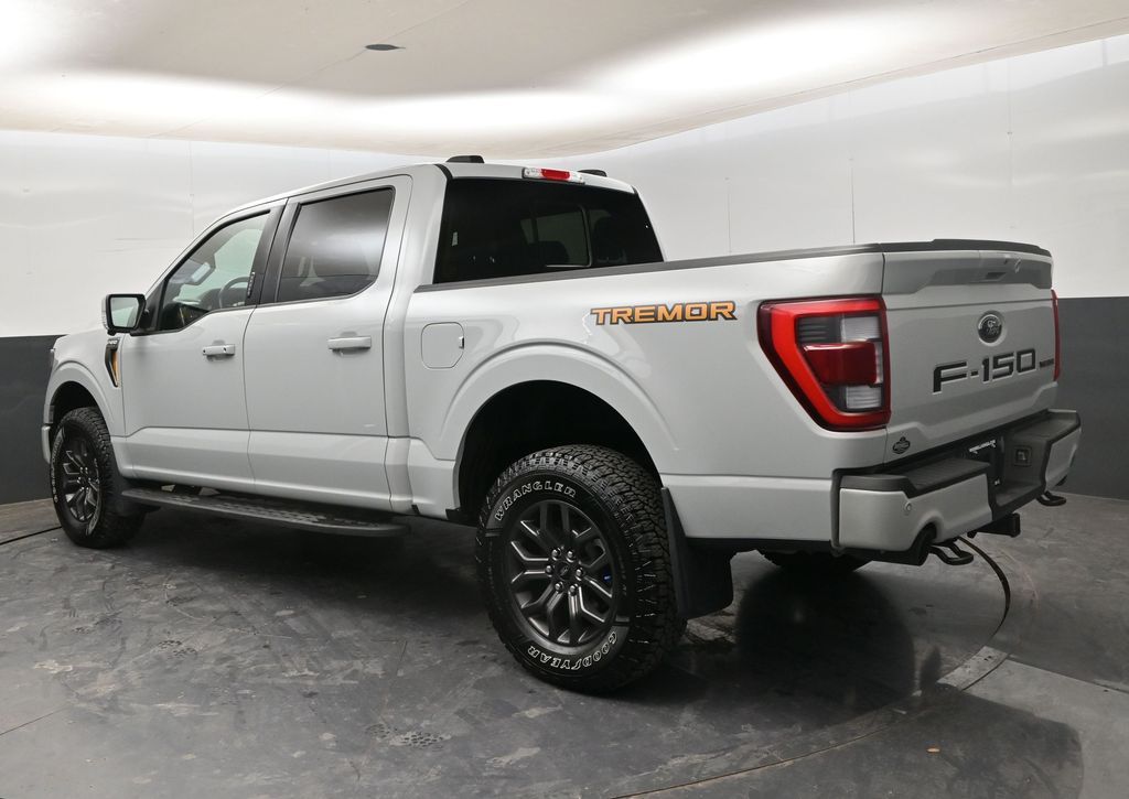 2023 Ford F-150 Tremor - Photo 6