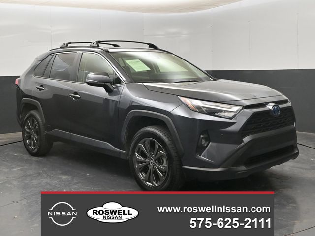 2024 Toyota RAV4 Hybrid XLE Premium AWD's photo