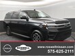Ford Expedition Max