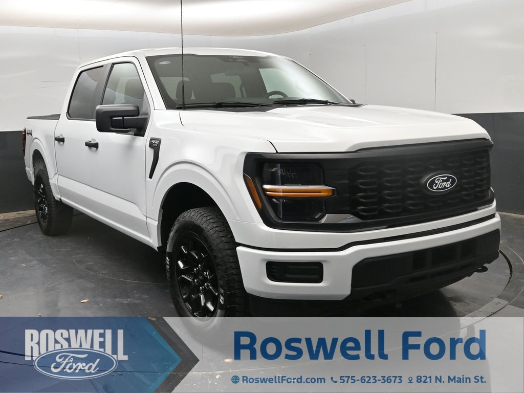 2025 Ford F-150 STX's photo
