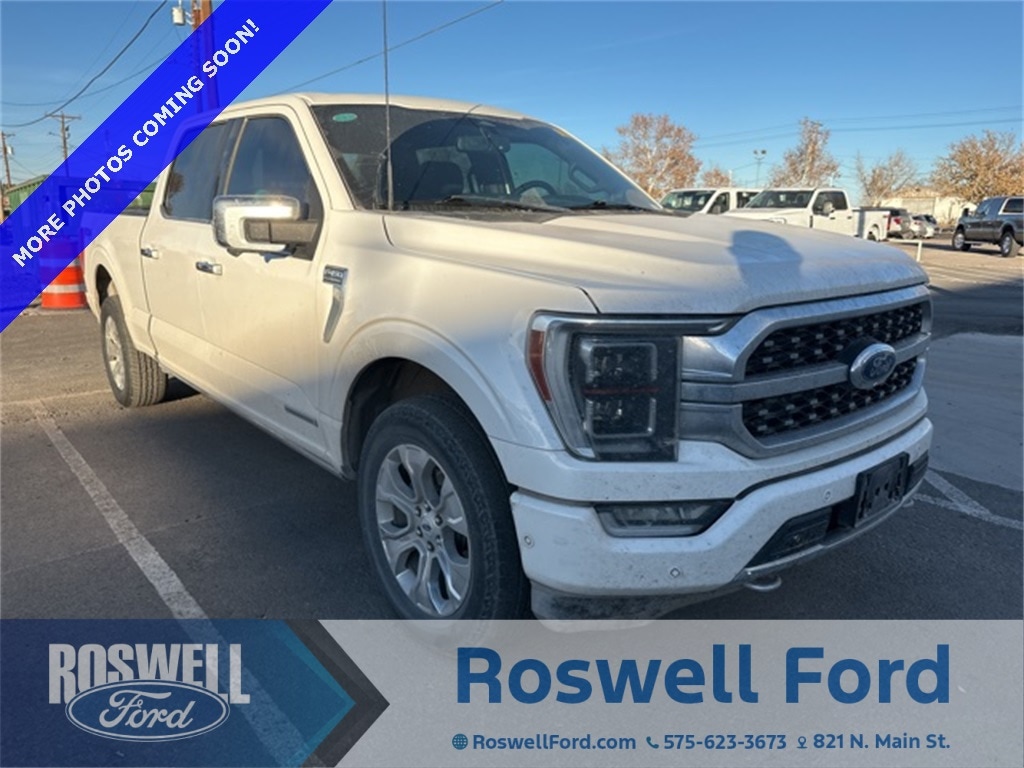 2023 Ford F-150 Platinum's photo