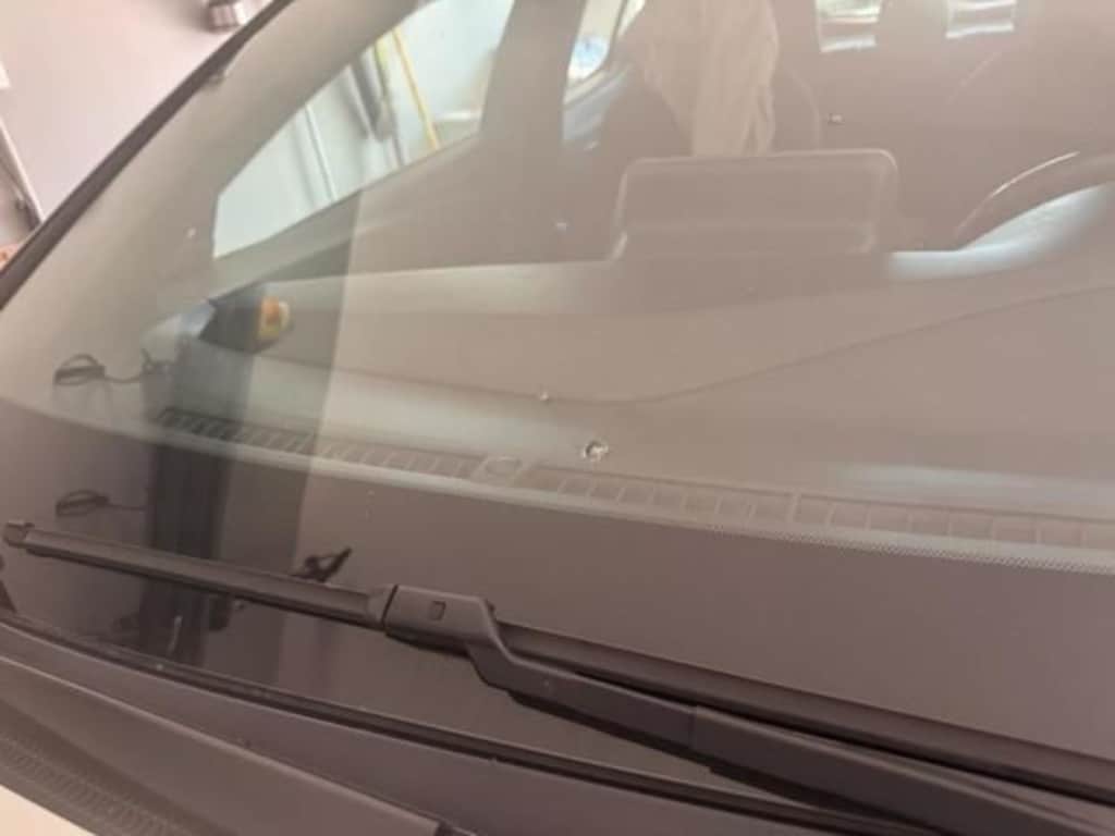 Used 2019 Toyota C-HR XLE SUV