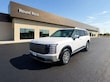  Hyundai Palisade Hybrid