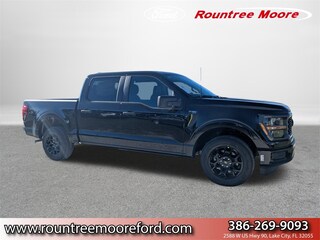 2025 Ford F-150 STX Truck