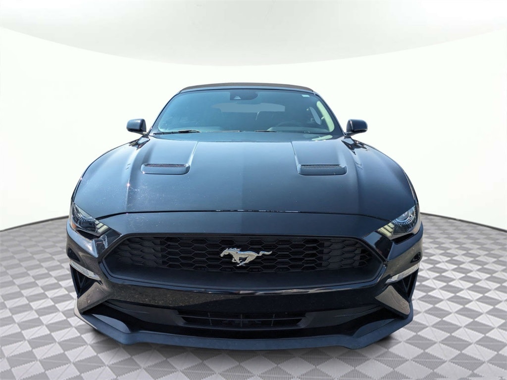 Used 2019 Ford Mustang EcoBoost Premium with VIN 1FATP8UH9K5150689 for sale in Lake City, FL