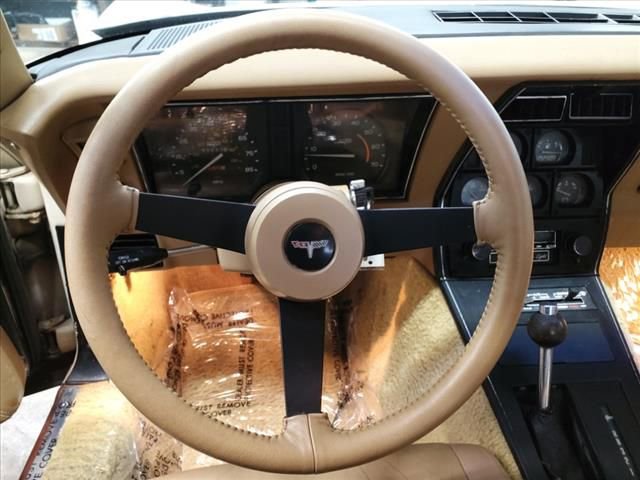 1981 Chevrolet Corvette - Photo 18