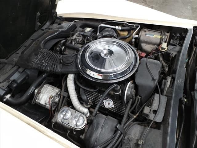 1981 Chevrolet Corvette - Photo 12