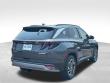 New 2025 Hyundai Tucson Hybrid Limited SUV