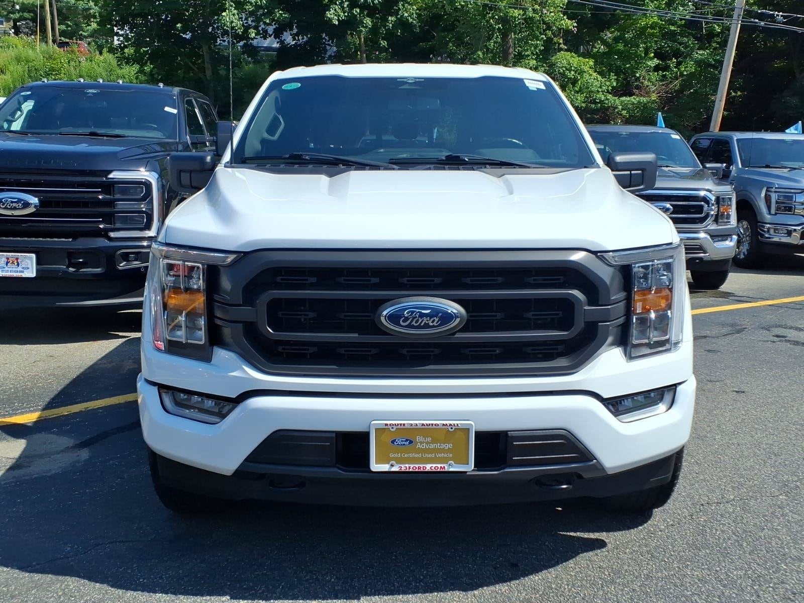 1FTFW1ED9PFB39948