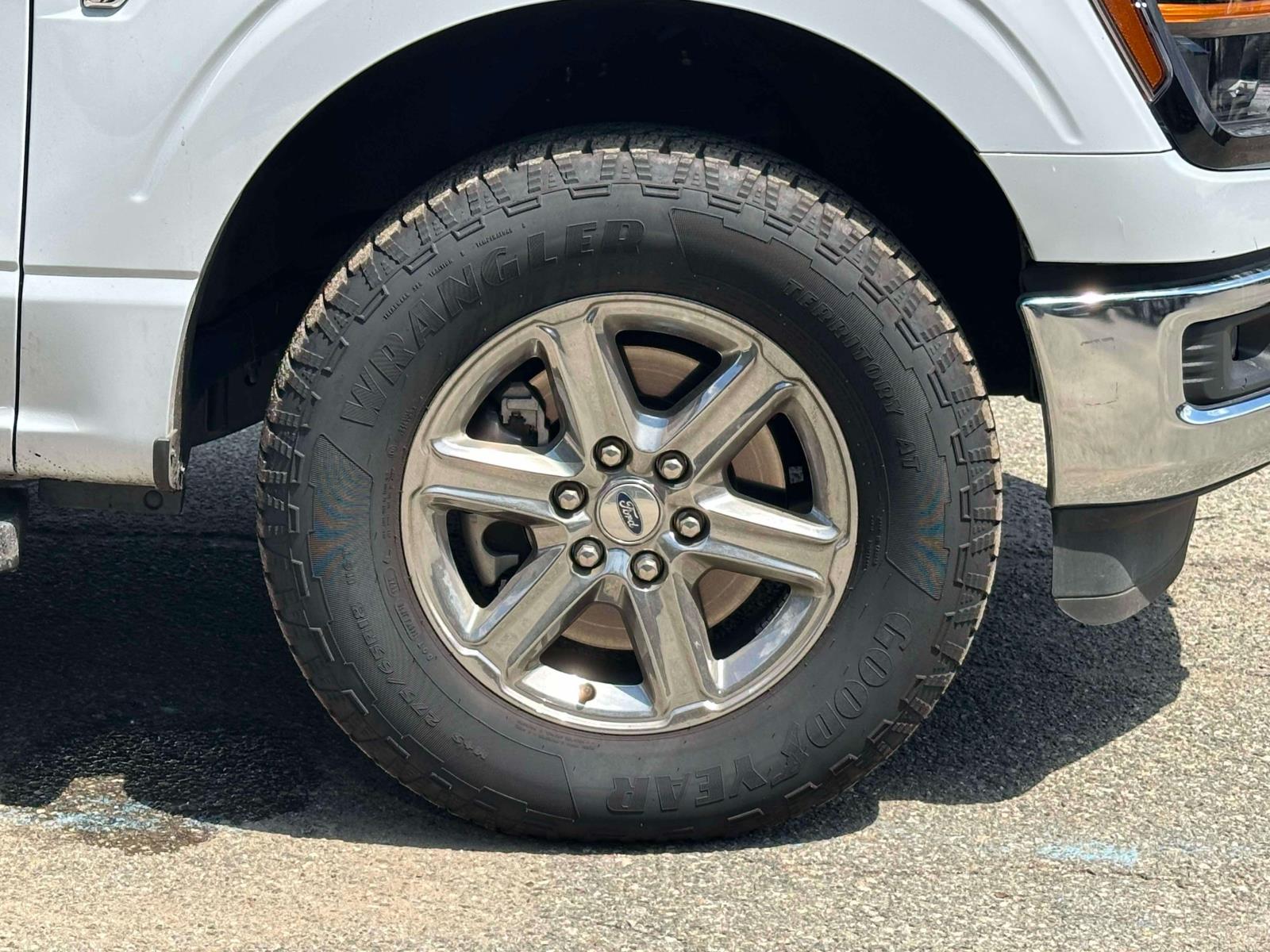2025 Ford F-150 XLT - Photo 6