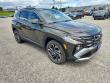 Used 2025 Hyundai Tucson Limited SUV
