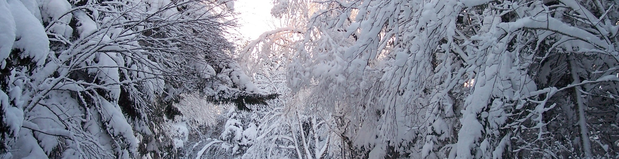 Auburn Rowe Kia Auburn New & Used Kia Cars