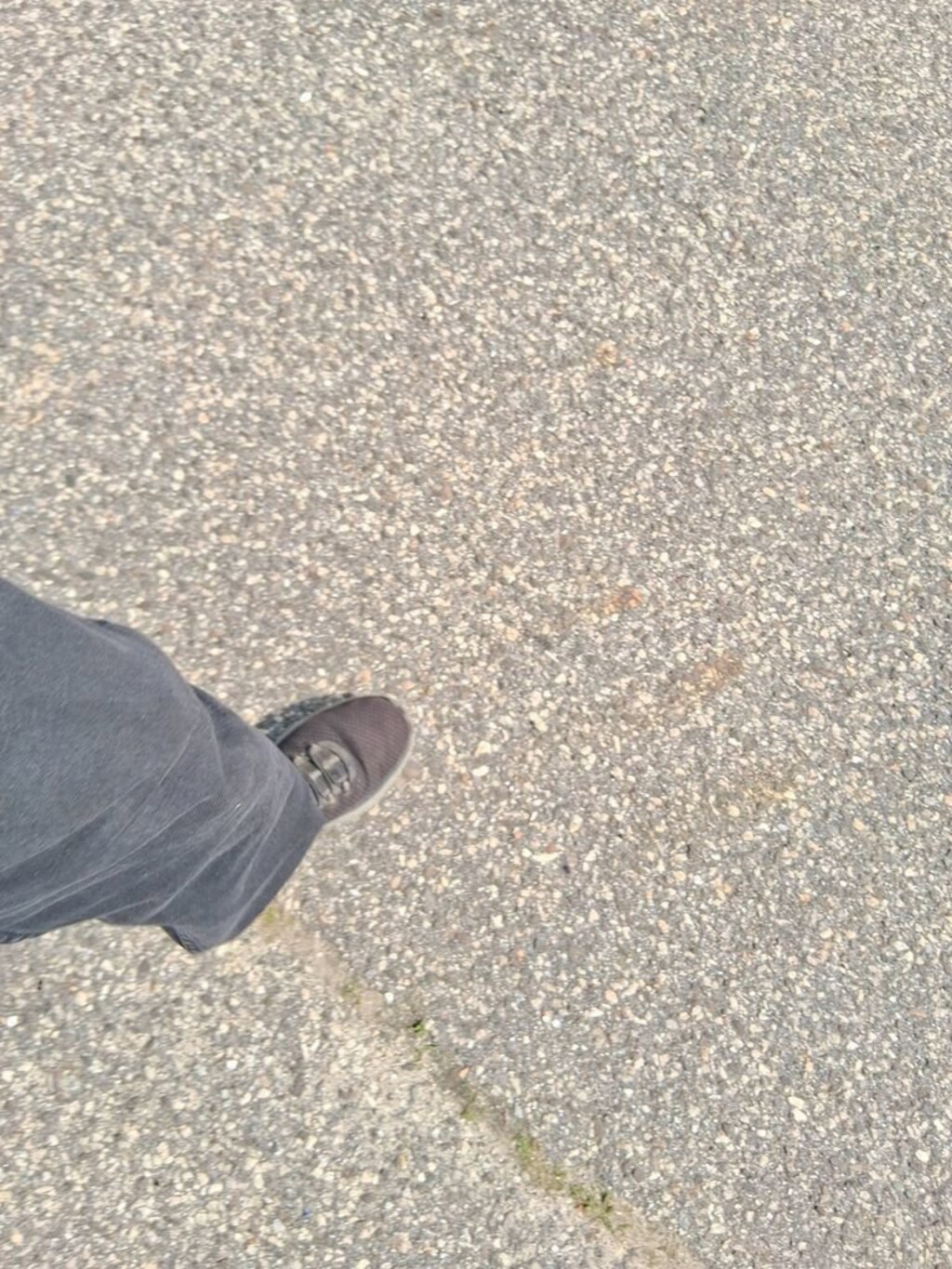 Used 2023 Kia Carnival LX Minivan/Van