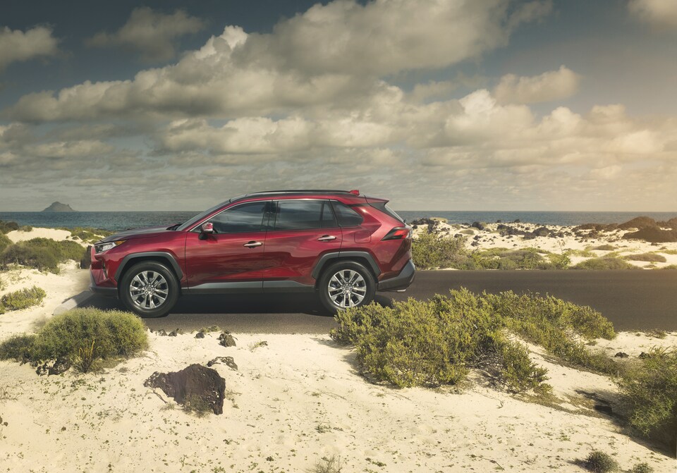 Find Out What the Difference is Between Toyota SUVs: RAV4 vs 4Runner vs Highlander | Royal Moore ...