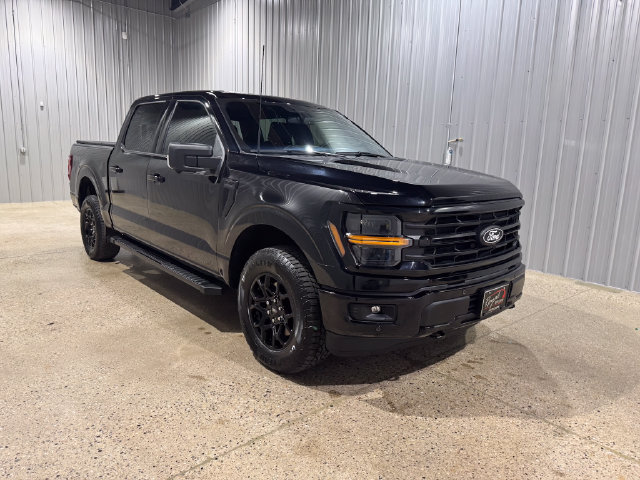 Used 2025 Ford F-150 XLT Truck