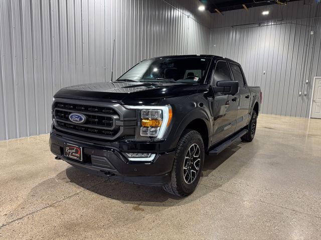 2023 Ford F-150 XLT 4x4 SuperCrew 145 in's photo