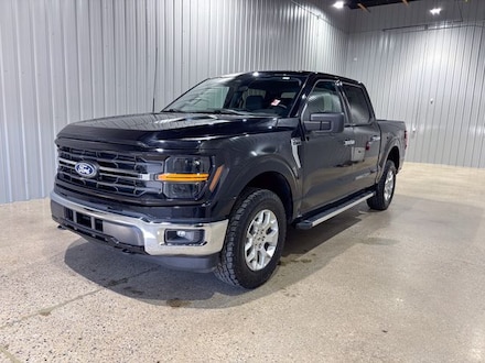2025 Ford F-150 XLT Truck
