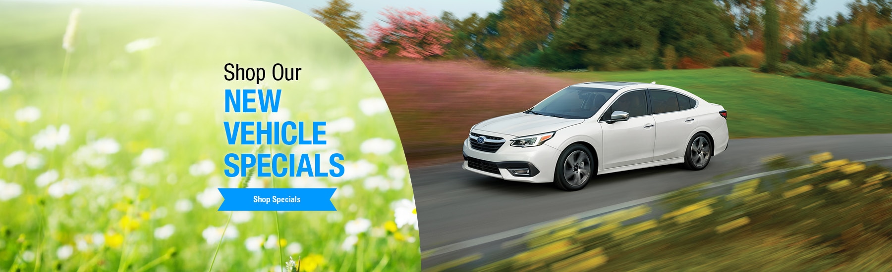 New Subaru and Used Car Dealer Royal Subaru Cortland NY