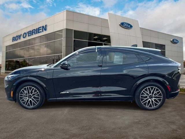 Certified 2024 Ford Mustang Mach-E Premium AWD with VIN 3FMTK3SU2RMA30633 for sale in St. Clair Shores, MI