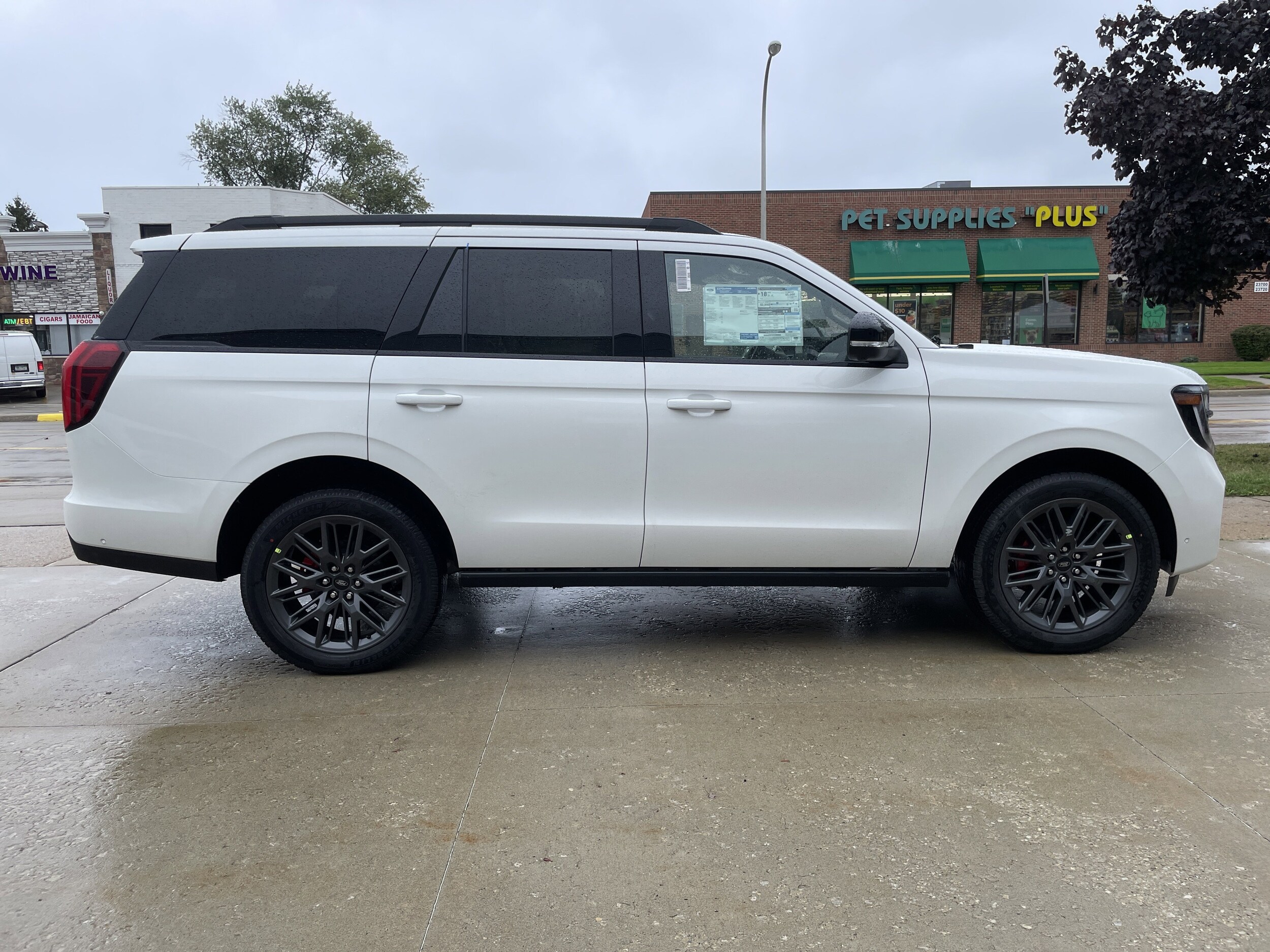 2025 Ford Expedition Platinum photo 3