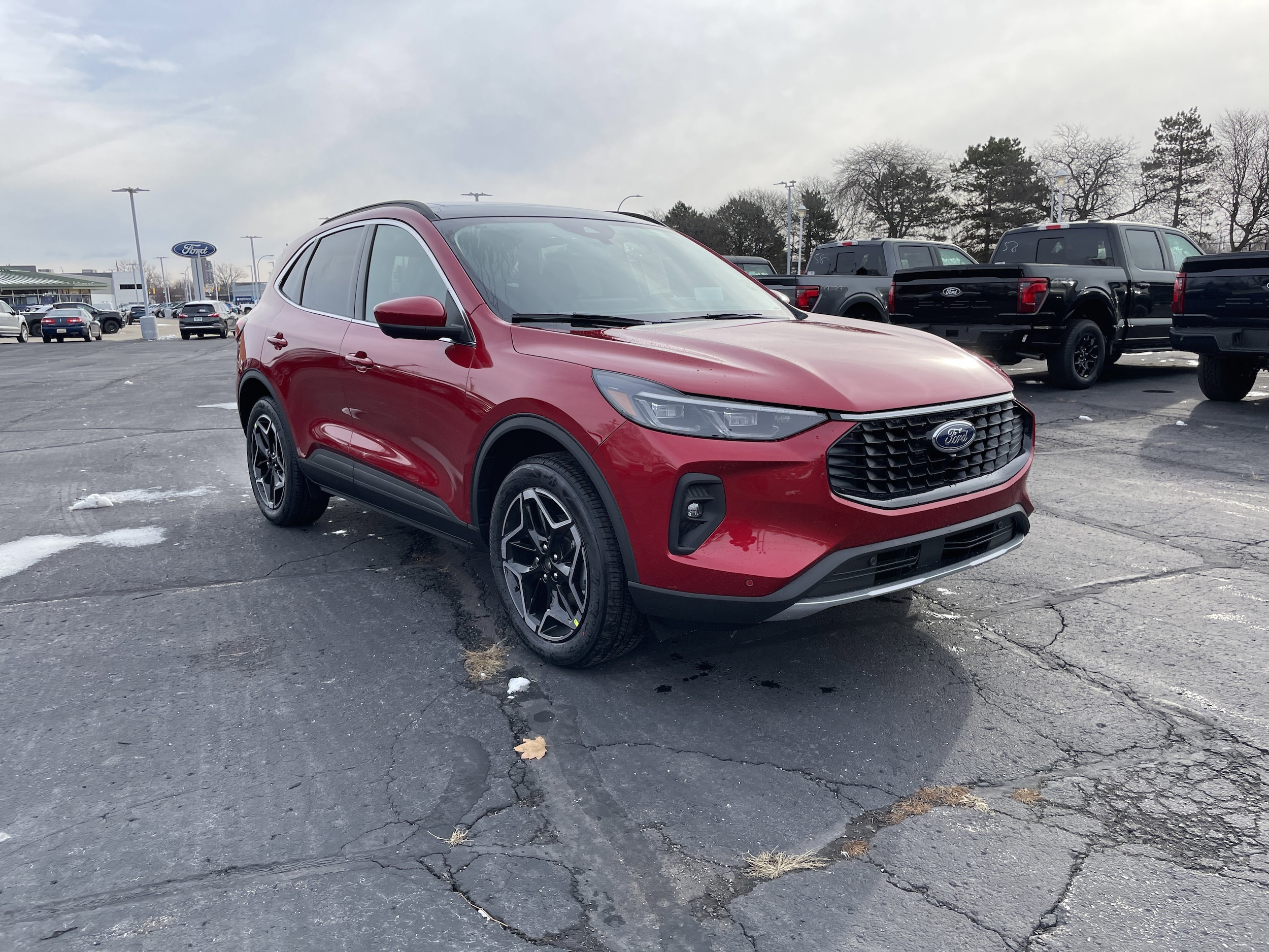 2026 Ford Escape Platinum's photo