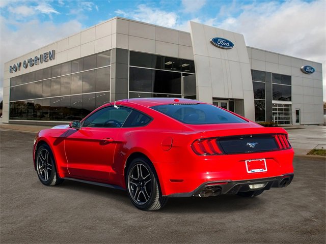 2019 Ford Mustang EcoBoost Premium photo 3