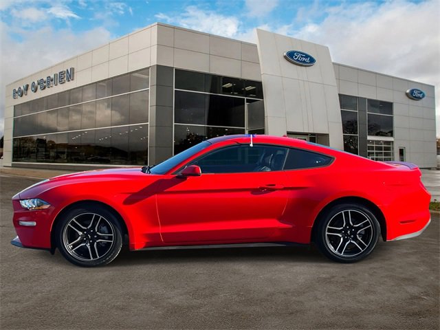 2019 Ford Mustang EcoBoost Premium photo 2