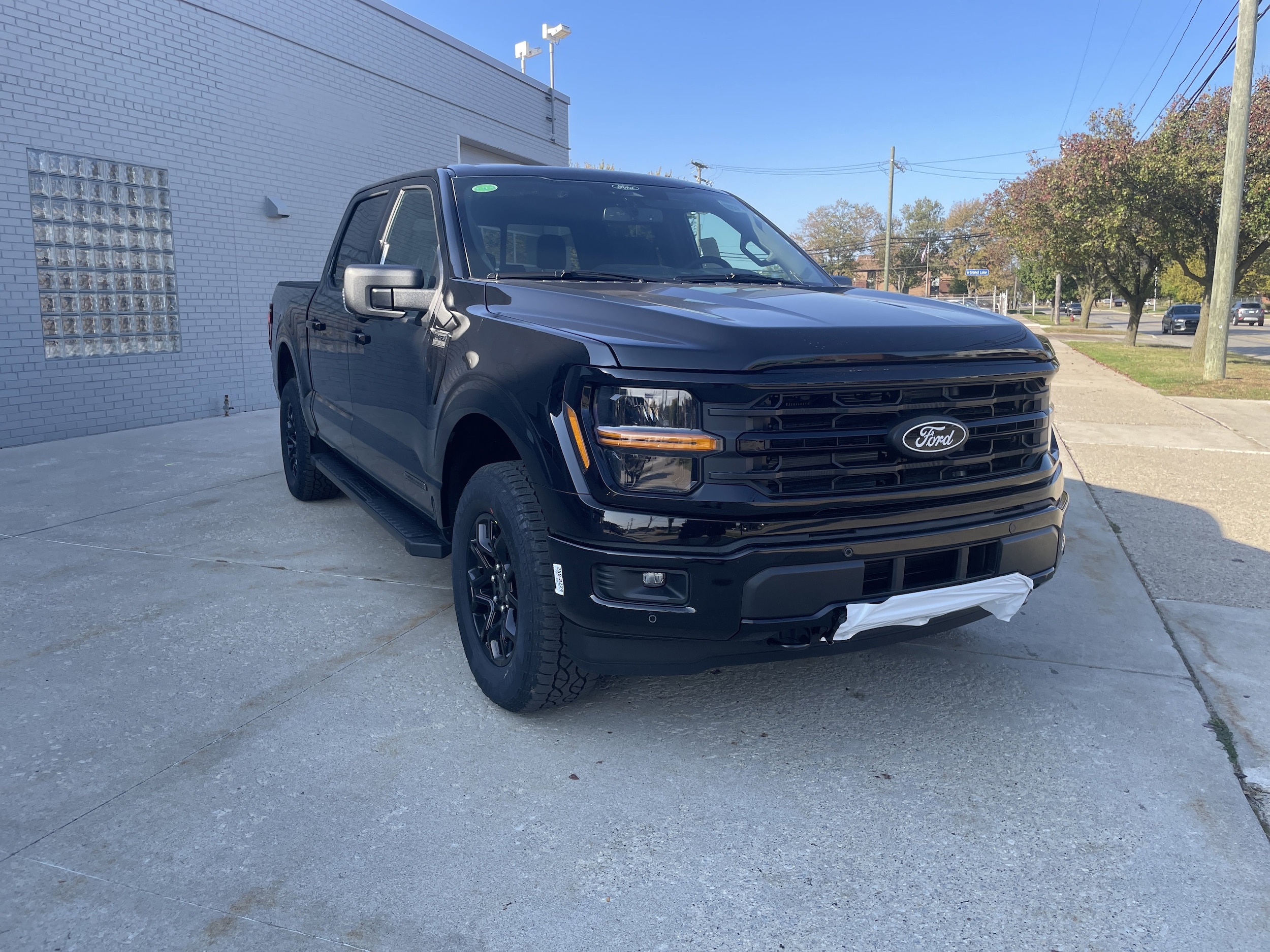 2025 Ford F-150 XLT's photo
