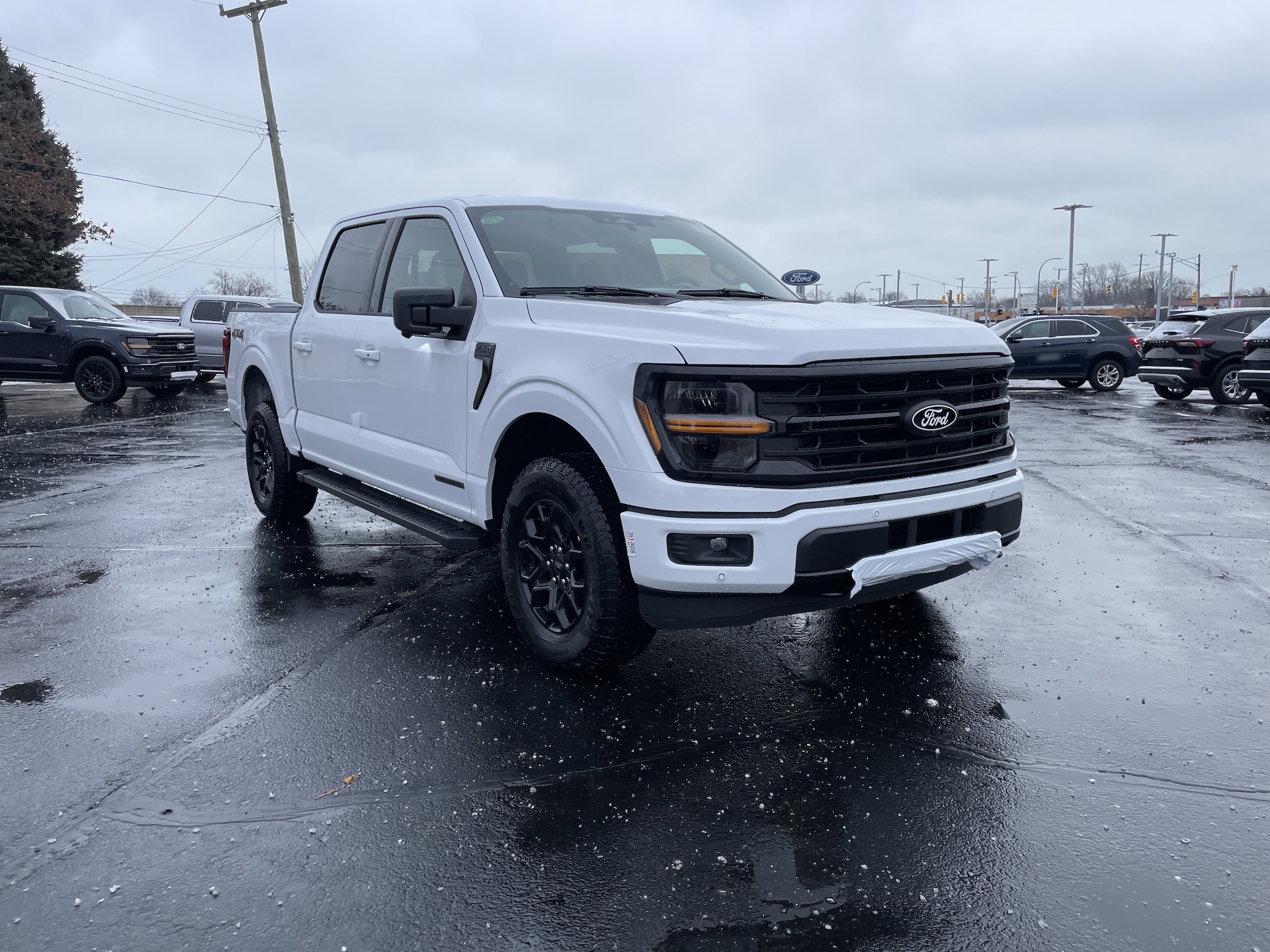 2025 Ford F-150 XLT's photo