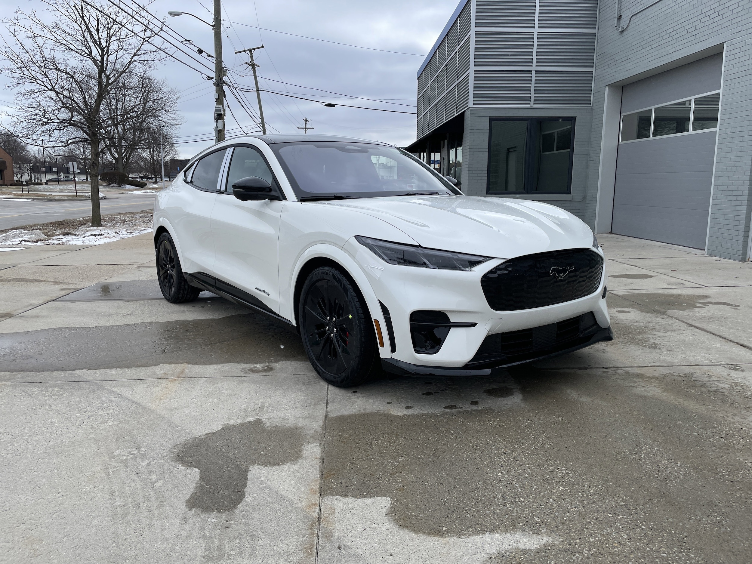 2026 Ford Mustang-Mach-e GT's photo