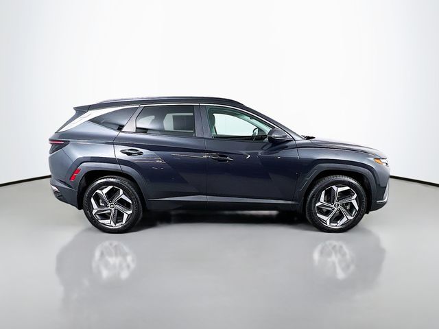 View 9