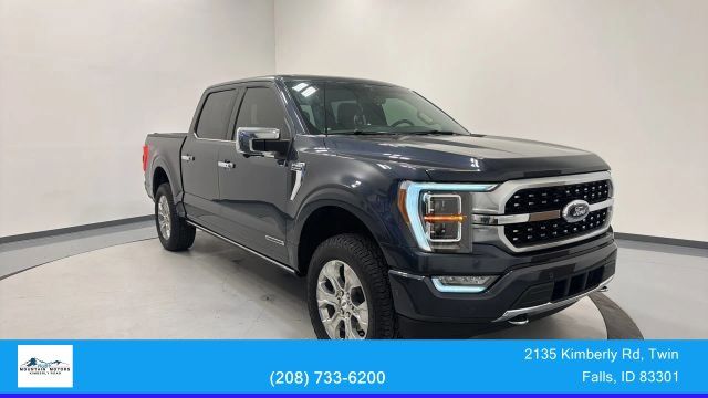 2021 Ford F-150 Platinum 4x4 SuperCrew 5-1/2 Box's photo