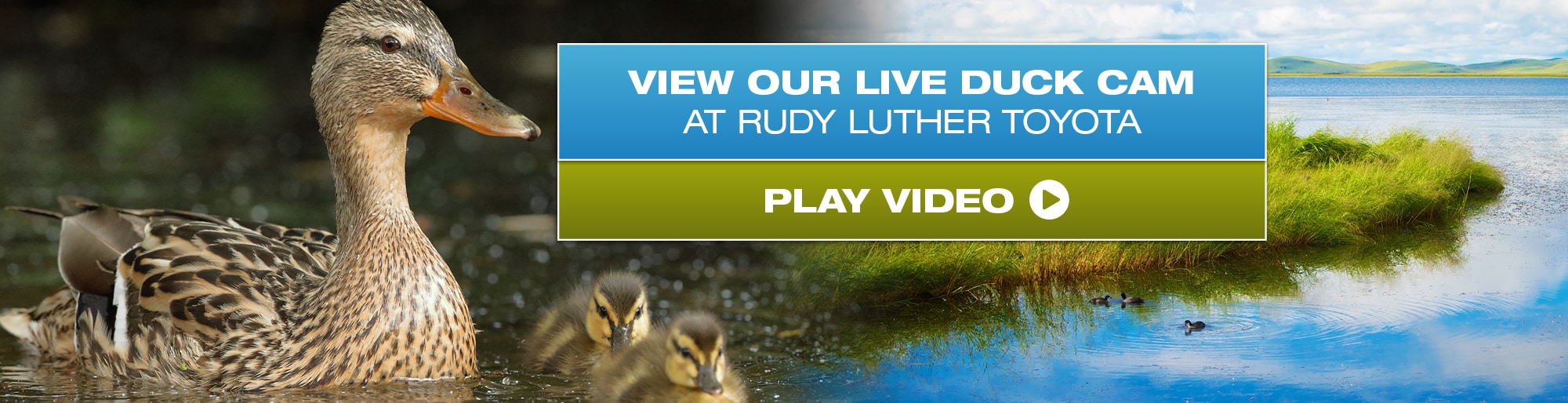 New and Used Toyota Dealership in Golden Valley, MN Toyota Dealer