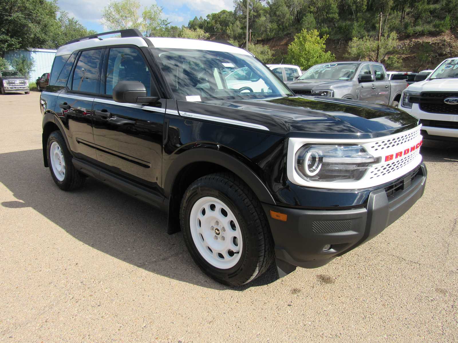 2025 Ford Bronco Sport Heritage - Photo 12