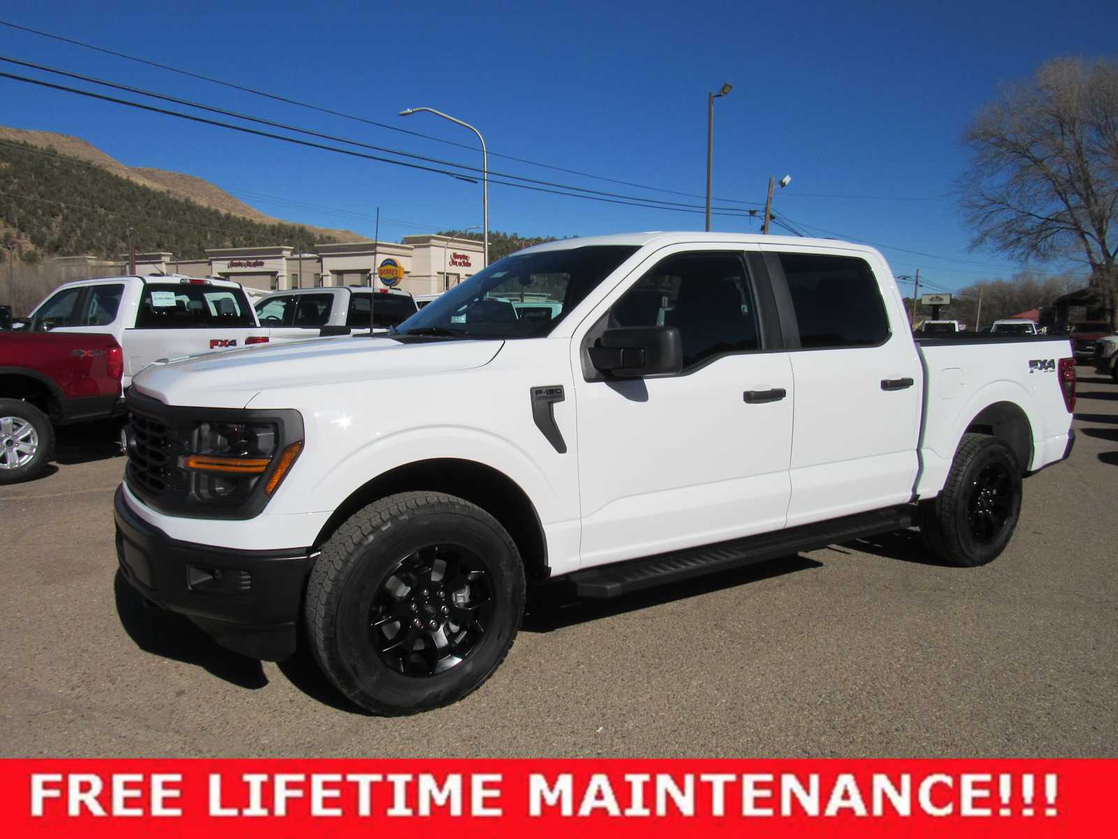 2025 Ford F-150 STX's photo