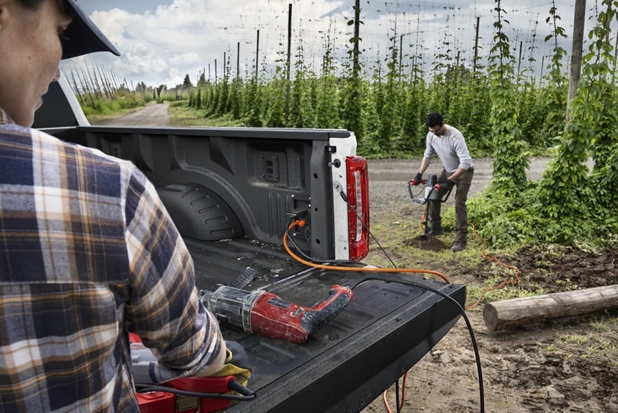 people working in the field
