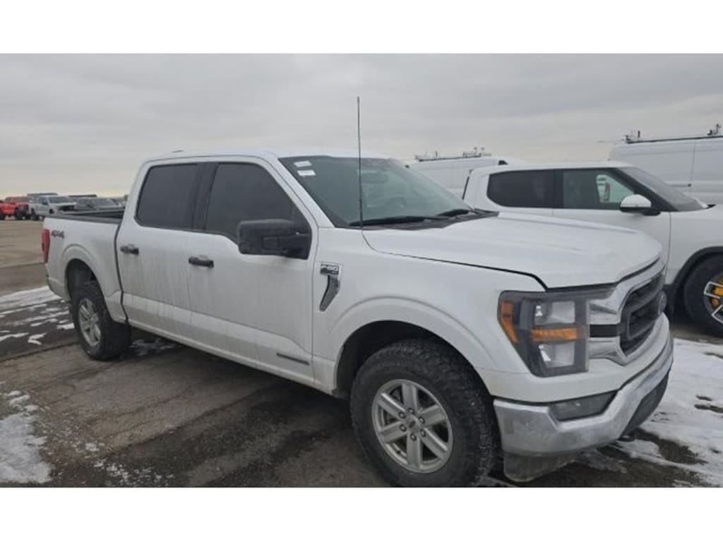 Used 2023 Ford F-150 XLT Crew Cab